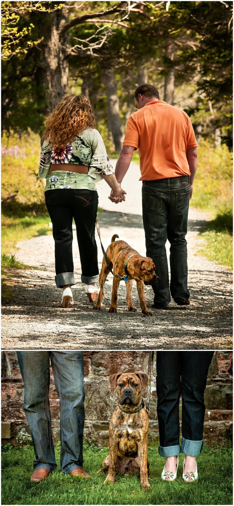 Couple in love walking with their dog posing for engagement photos at the Mount Uniacke House in Nova Scotia.