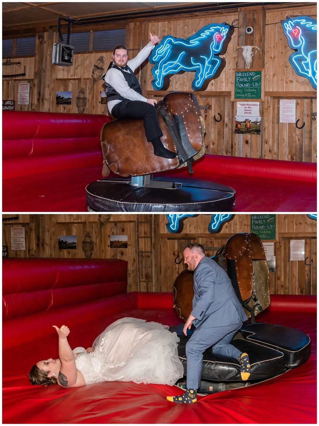 The bride and groom ride the electric bull at Hatfield Farm in Halifax, NS.