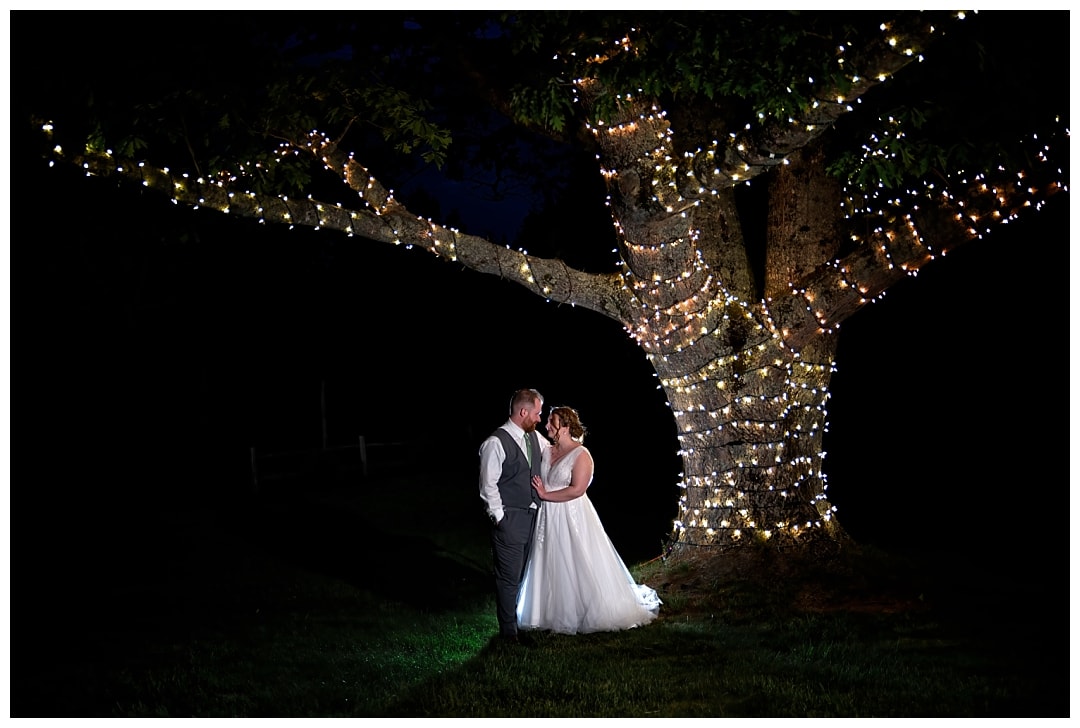 Bride and groom under a lit up tree at night during their wedding at Healy Farm in Kentville NS.