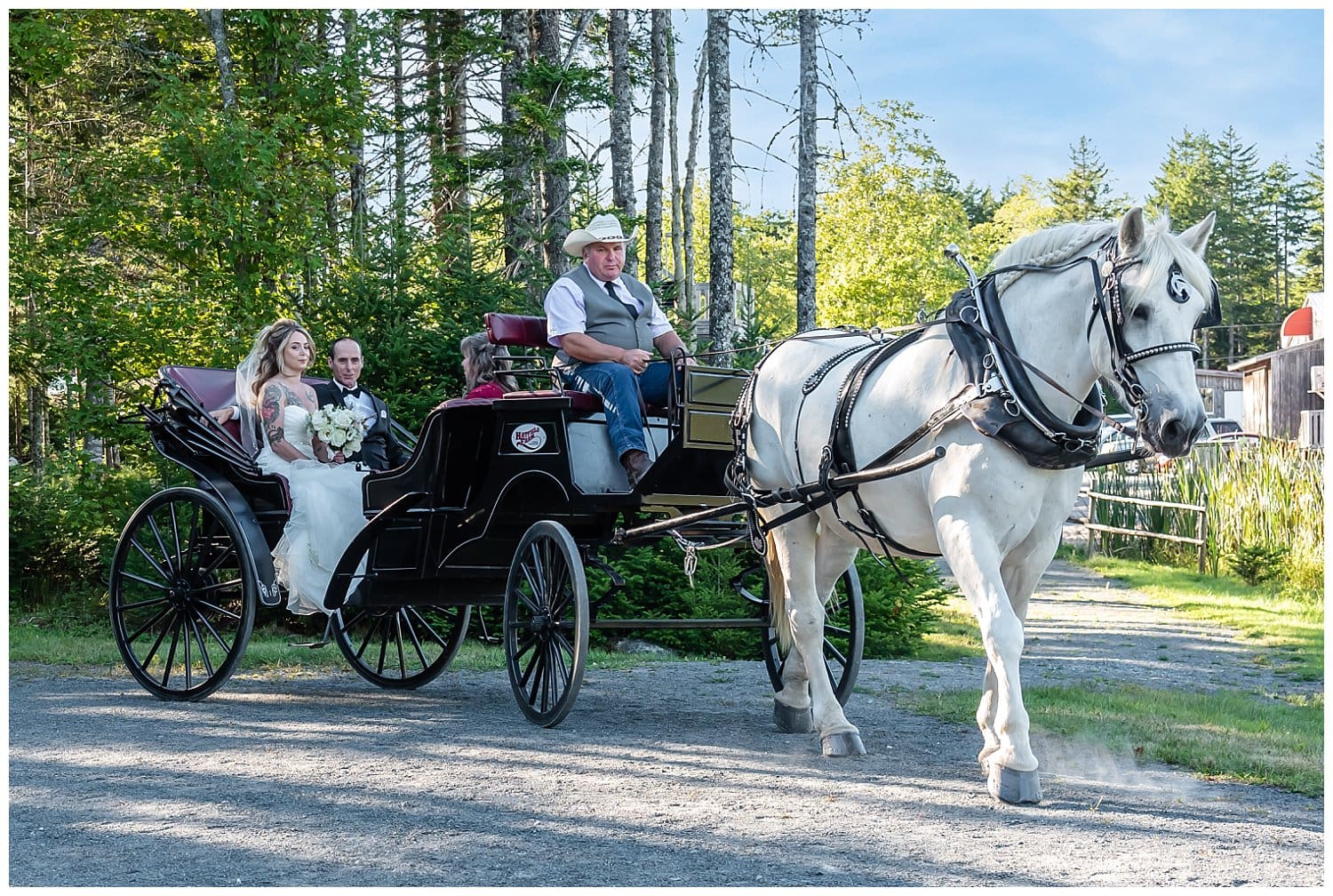 The bride arrives to her wedding ceremony in a horse and carriage at Hatfield Farm in Halifax.