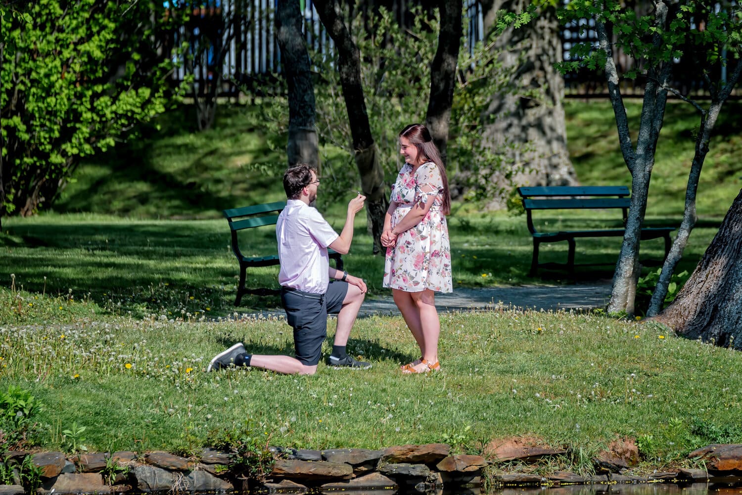 A boyfriend gets down on one knee and proposes marriage to his girlfriend during a walk in the Halifax Public Gardens in Nova Scotia.