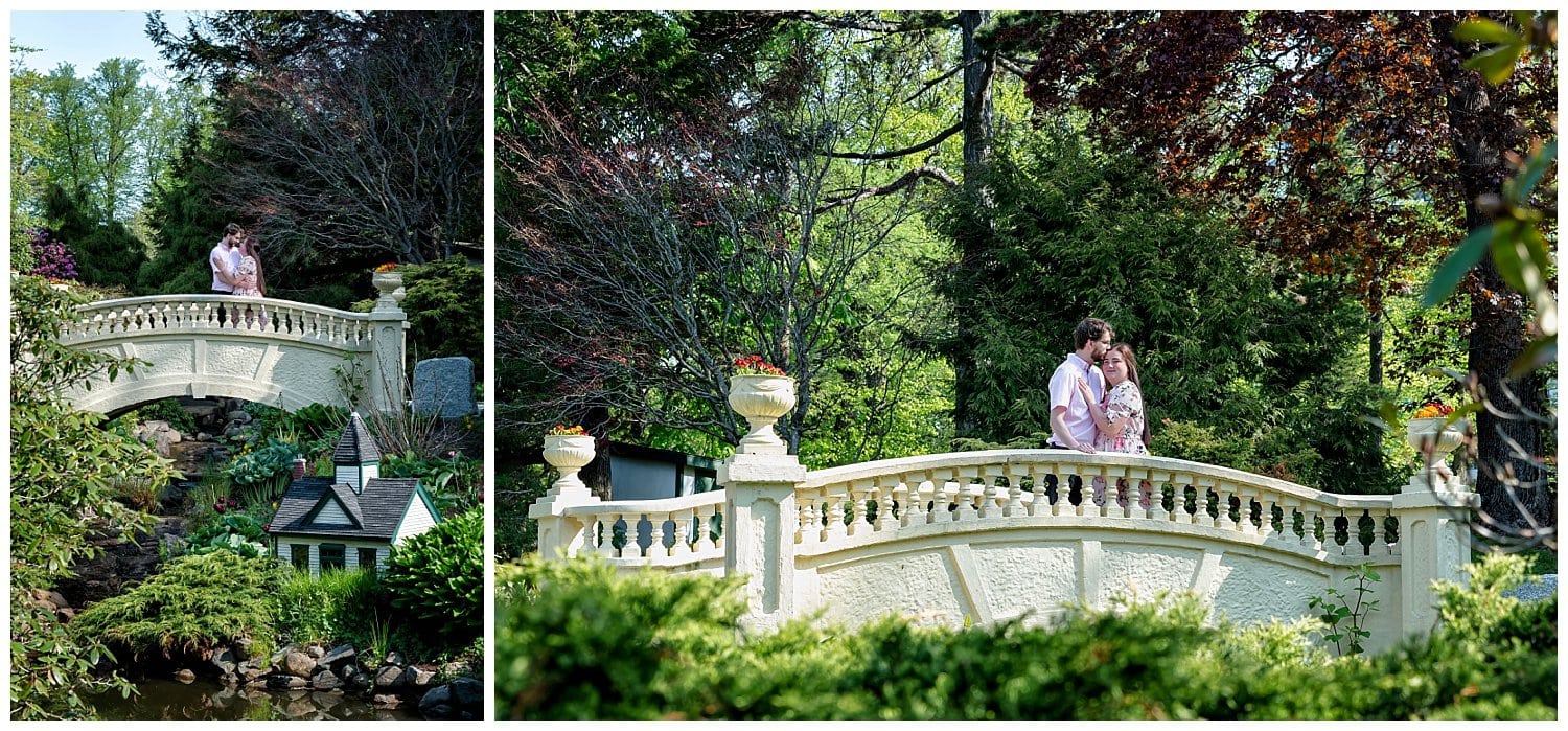 He proposed she said yes and then we had a surprise engagement session at the Halifax Public Gardens.