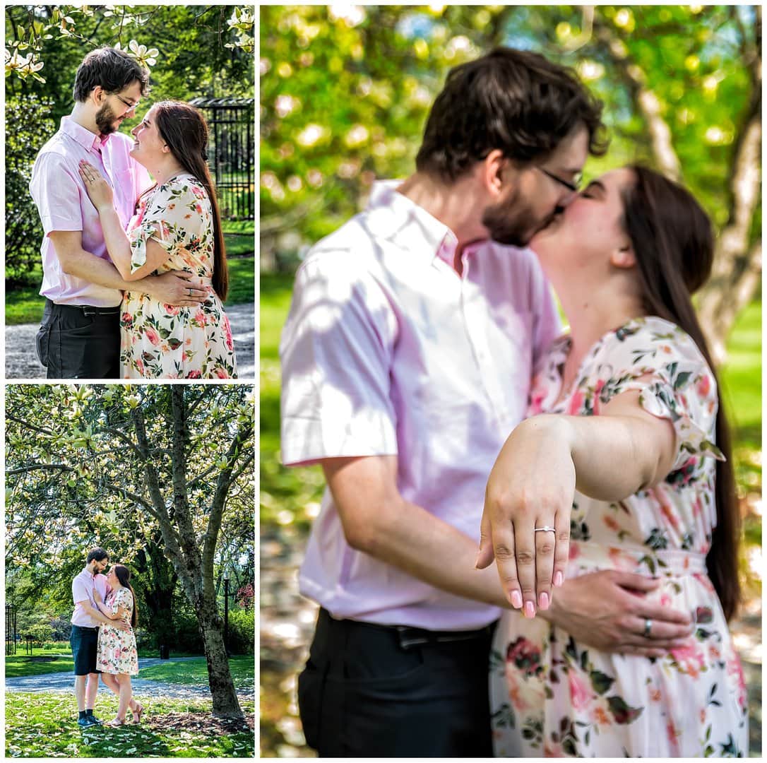 A newly engaged couple kiss as she shows of her new engagement ring during an engagement session at the Halifax Public Gardens.