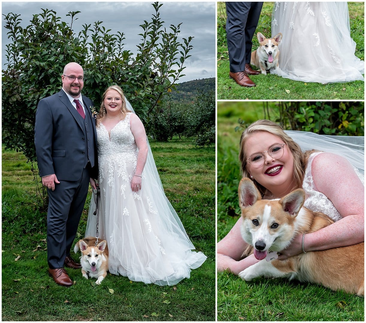 The bride and groom pose for wedding photos with their dog at the Bent Ridge Winery in NS.
