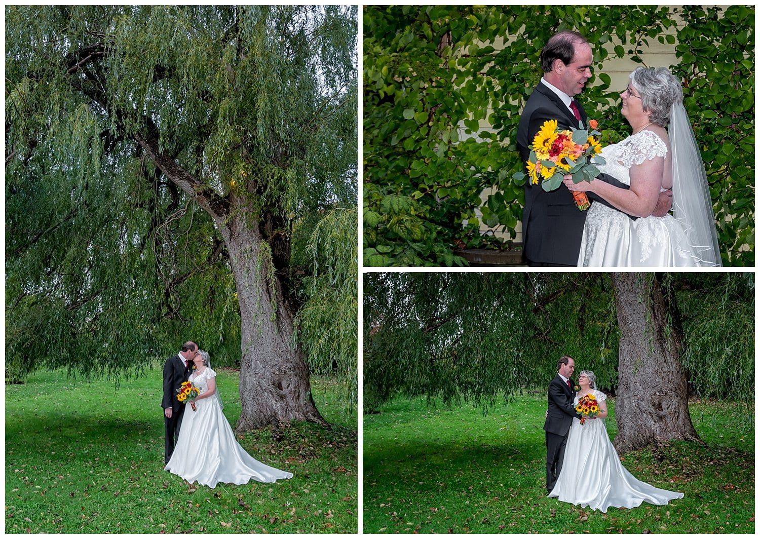 The bride and groom pose for wedding photos under a huge willow tree in Windsor NS.