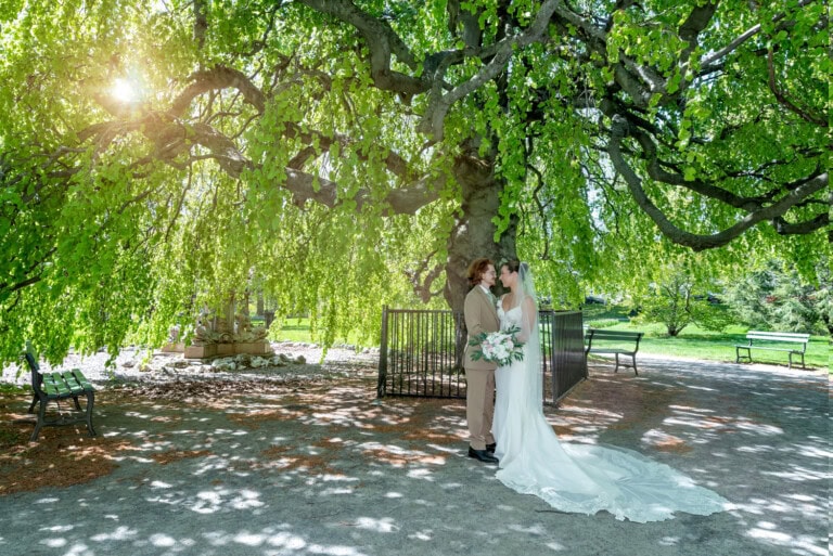 Couple standing together beneath a leafy willow tree during their wedding photos in the Halifax Public Gardens.