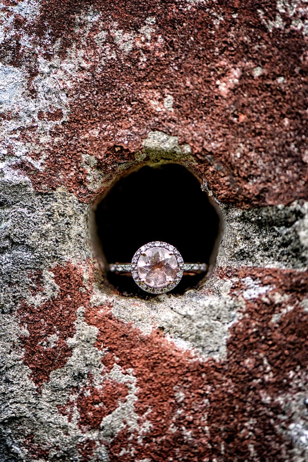 Engagement Portfolio Page A pink diamond engagement ring capture at Point Pleasant Park in Halifax NS.