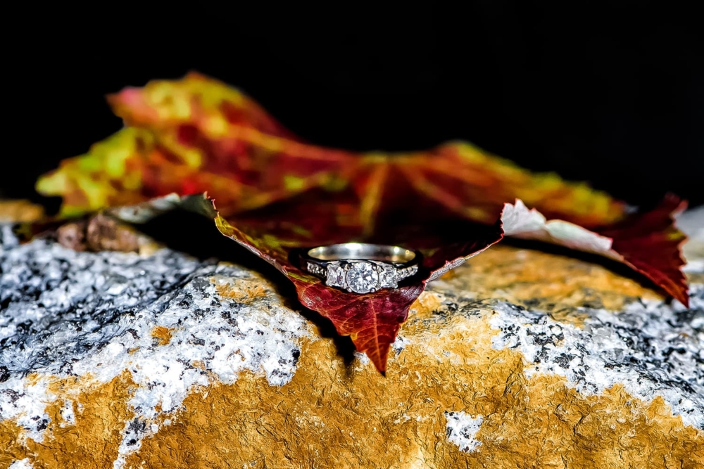 Engagement Portfolio Page A custom designed engagement ring laying of an autumn leaf at Dingle Tower in Halifax NS.